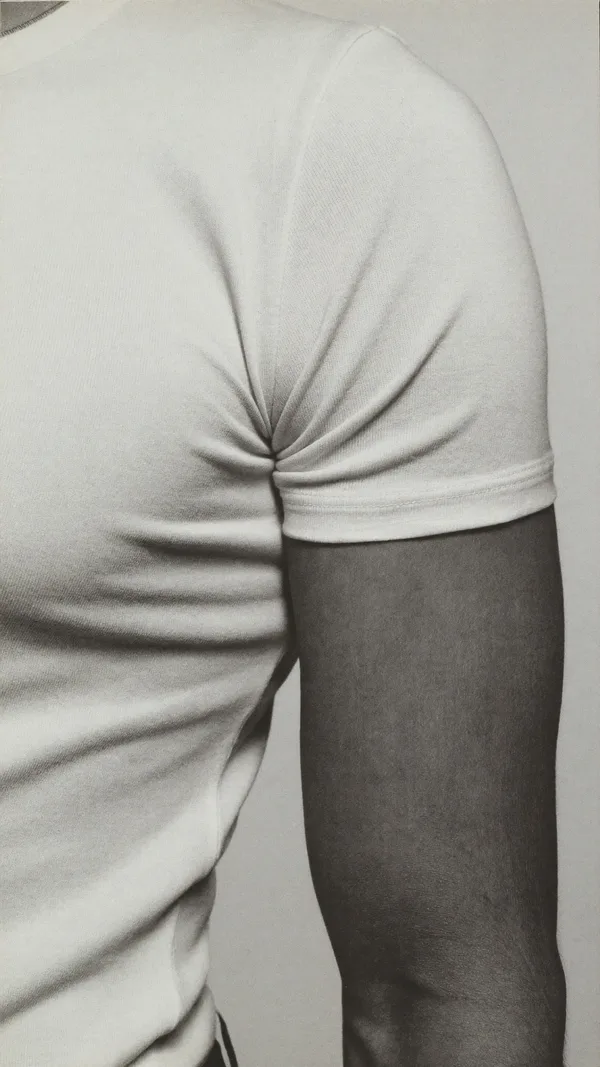 Monochrome, sleeve and cuff detail